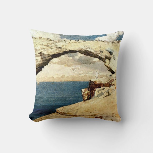Winslow Homer - Glass Windows Throw Pillow (Front)