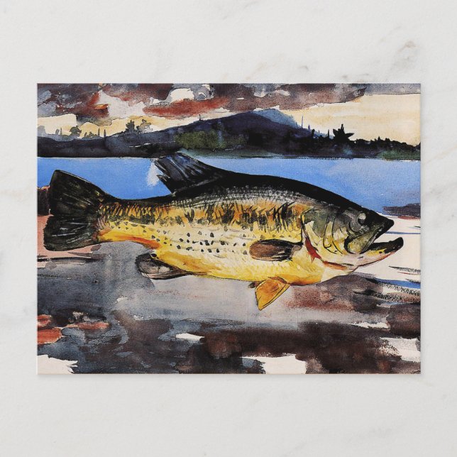 Winslow Homer painting, Bass Postcard (Front)