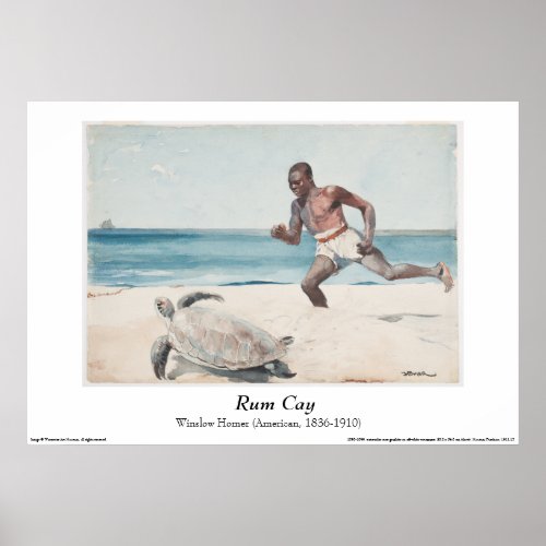 Winslow Homer _ Rum Cay Poster