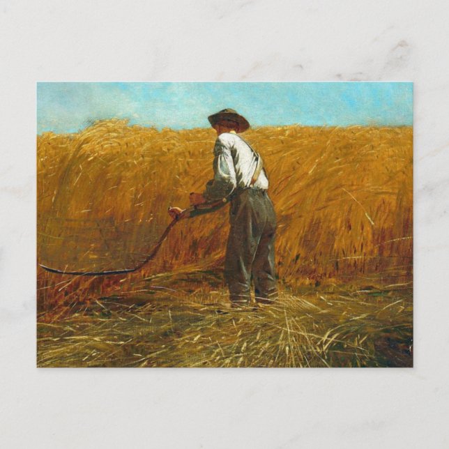 Winslow Homer - Veteran In A New Field Postcard (Front)