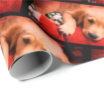 Winston  Christmas  Matte Wrapping Paper  30" X 6' Wrapping Paper by dbrown0310 at Zazzle