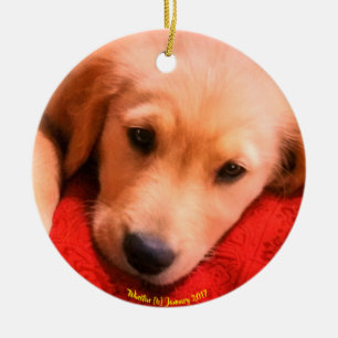 Winston Christmas Ornament