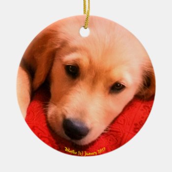 Winston Christmas Ornament by dbrown0310 at Zazzle