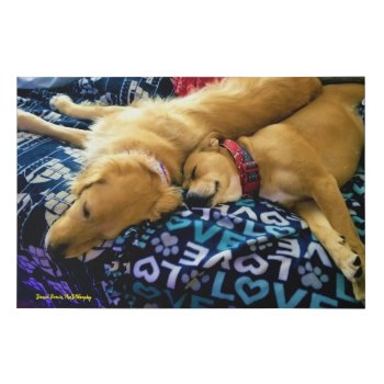 Winston & Leeloo 02/21  Faux Wrapped Canvas Print by dbrown0310 at Zazzle