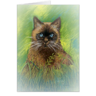 Winston, our Seal Point Siamese Cat Cards