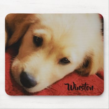 Winston The Golden Retriever Puppy  Mousepad by dbrown0310 at Zazzle
