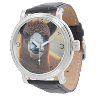 Winston The Wolly Brown Alpaca, Watch