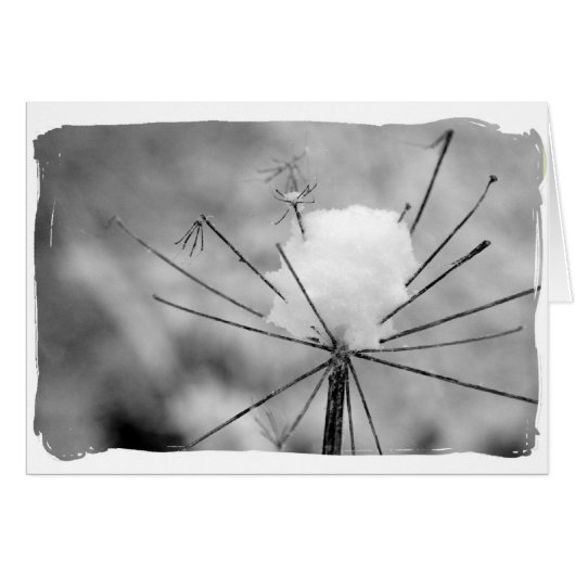 Winter (Front Horizontal)