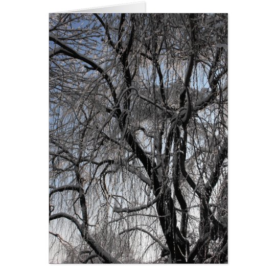 Winter ~ 24 card