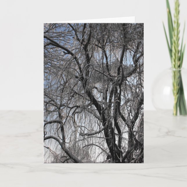 Winter ~ 24 holiday card (Front)