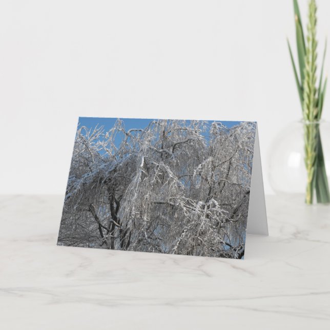 Winter ~ 25 holiday card (Front)