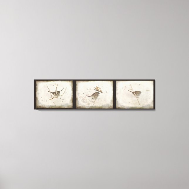 Winter and the Sparrow Canvas Print (Front)