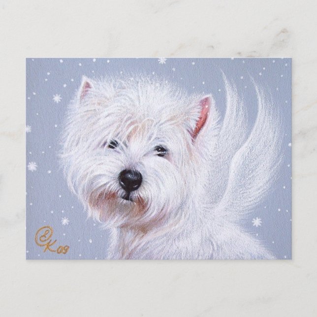 Winter Angel (Westie) Postcard (Front)