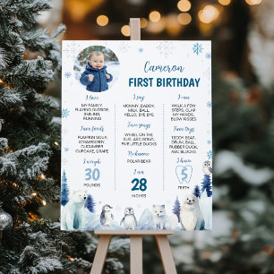 Winter Arctic Animals 1st Birthday Milestone Photo Poster