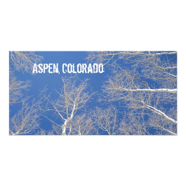 Winter Aspen Trees in Aspen, Colorado Card (Front)