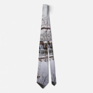 Winter At Finley Dam Neck Tie