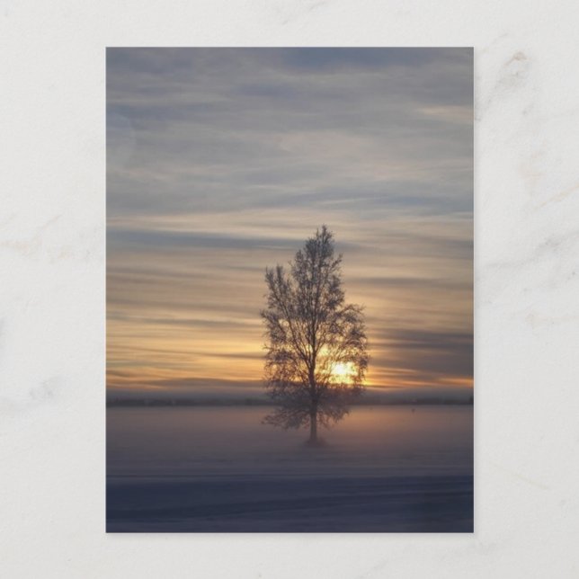 Winter at Ft. Wainwright Postcard (Front)