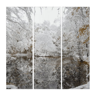 Winter at the lake snow ice triptych