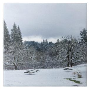 Winter at the Park, Wilsonville, OR Ceramic Tile