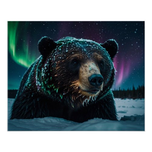 Winter Aurora  Black Bear Wildlife Design Poster