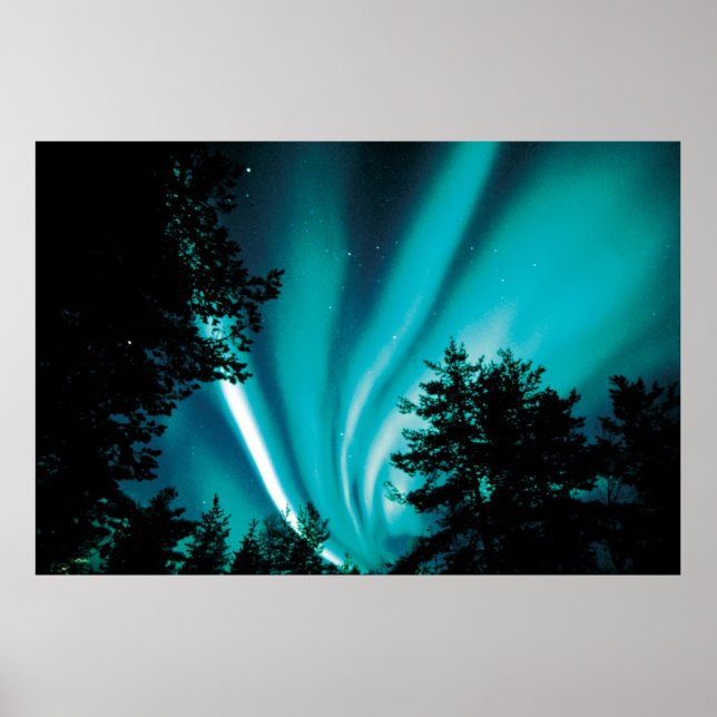 WINTER AURORA (PRINT QUALITY) 46X31 POSTER (Front)