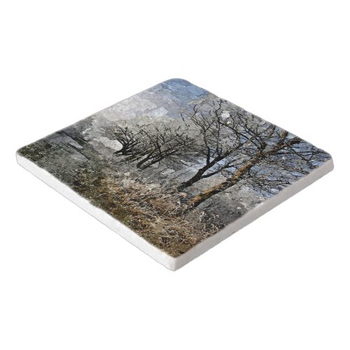 Winter Bayou Trees Landscape Watercolor Painting Trivet