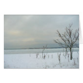 winter beach (Front Horizontal)