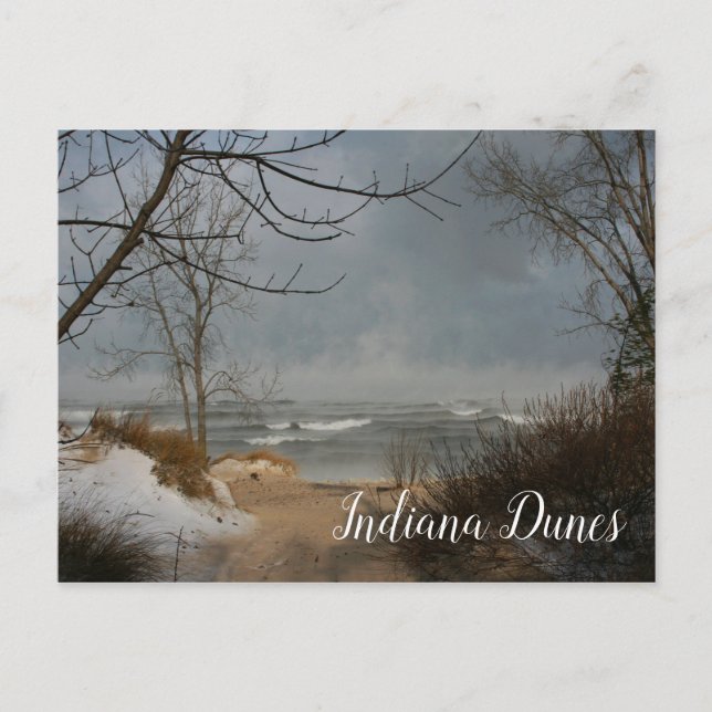 Winter Beach, Lake, Indiana Dunes Ntl.Lakeshore Postcard (Front)
