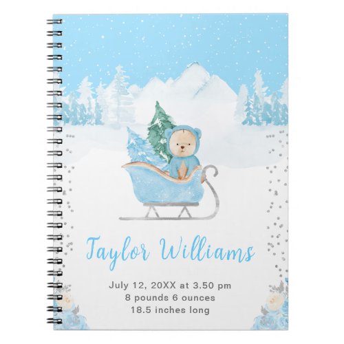 Winter Bear Blue Sleigh Birth Statistics Notebook