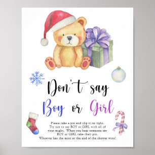 Winter Bear  - Don't say boy or girl Poster