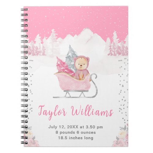 Winter Bear Pink Sleigh Birth Statistics Notebook