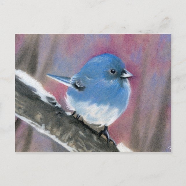Winter beauty bird postcard (Front)