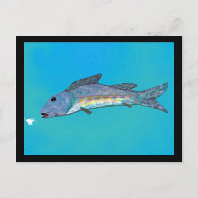 Winter Beauty Postcard (Front)