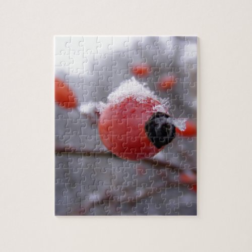 Winter Berries Jigsaw Puzzle