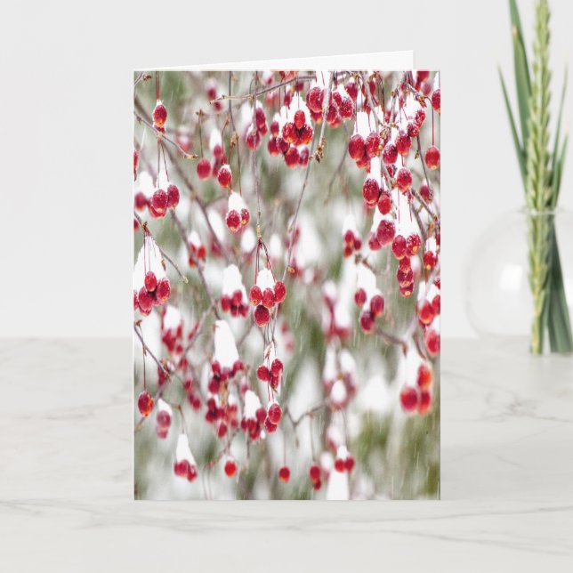 Winter Berries Red White Christmas Colors Snow Holiday Card (Front)