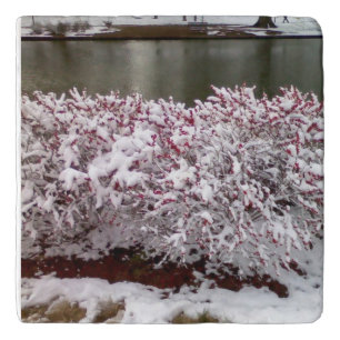 Winter Berries  Trivet