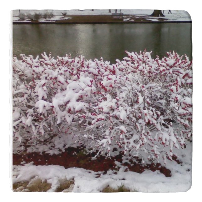 Winter Berries  Trivet (Front)