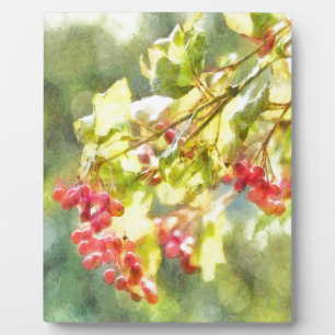 Winter Berries Watercolor Plaque