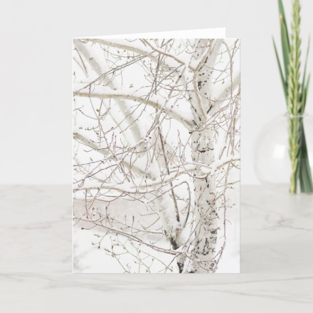 Winter Birch Tree - add your custom greeting Holiday Card (Front)
