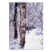 Winter Birch Tree Cards (Front)