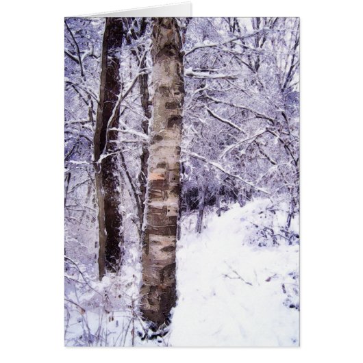 Winter Birch Tree Cards (Front)