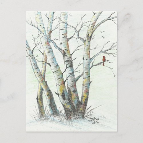 Winter Birches Colored Pencil Art Postcard