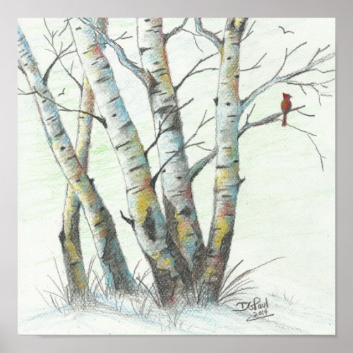 Winter Birches Colored Pencil Art Poster