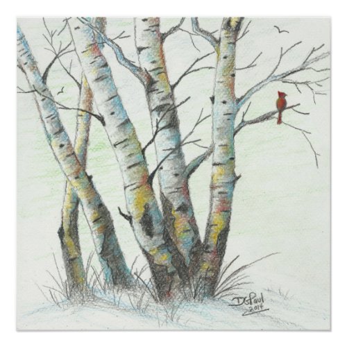 Winter Birches Colored Pencil Art Poster