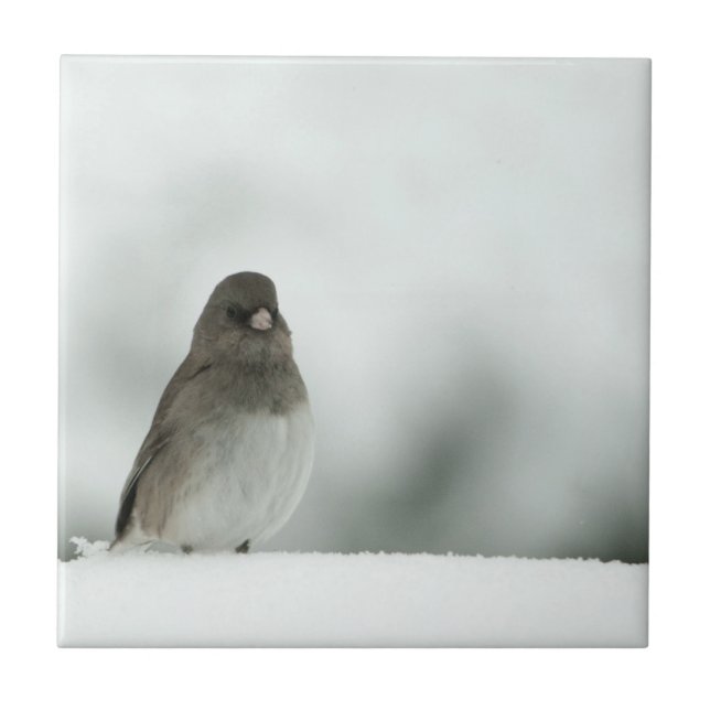 Winter Bird Ceramic Tile (Front)