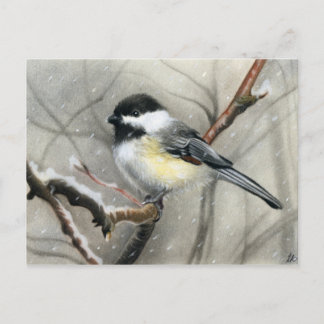 winter bird chickadee postcard