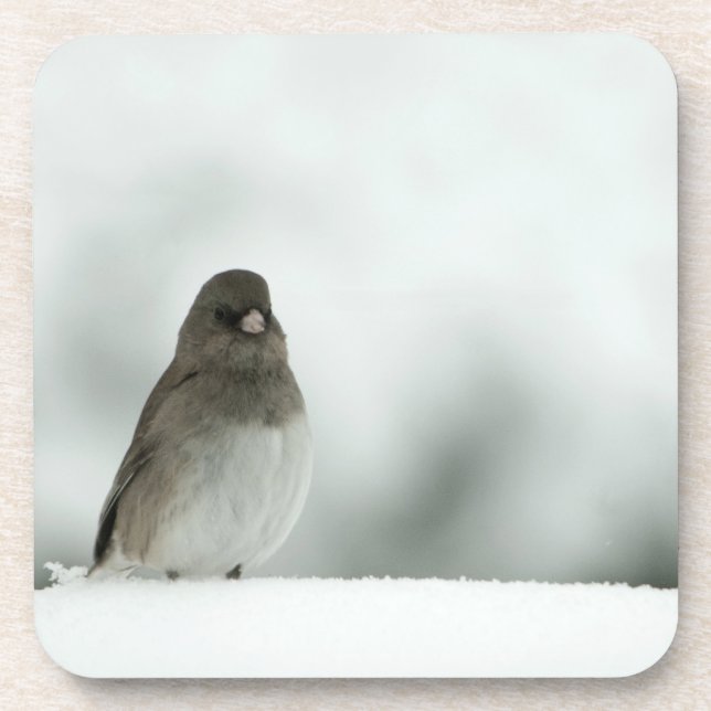 Winter Bird Coaster (Front)