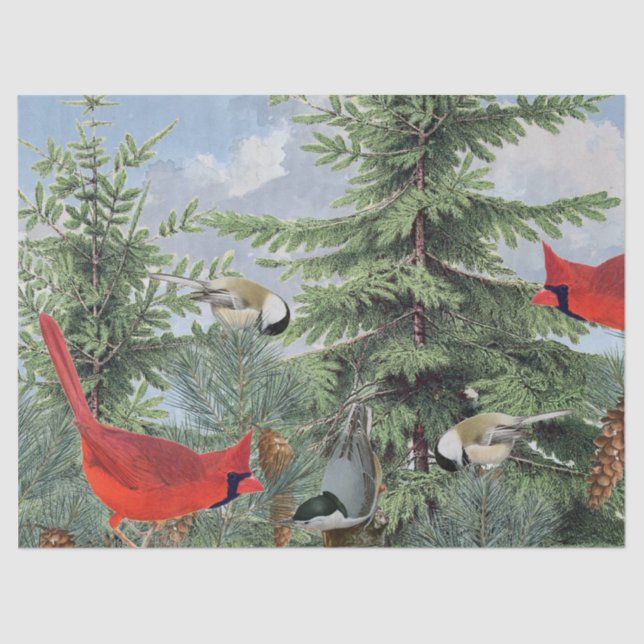 Winter Bird Forest Cardinal Chickadee Nuthatch Sky Tissue Paper (Front)