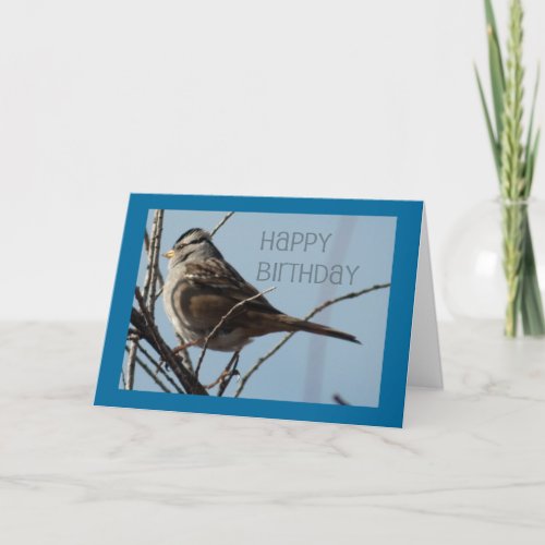 Winter Bird Happy Birthday Card