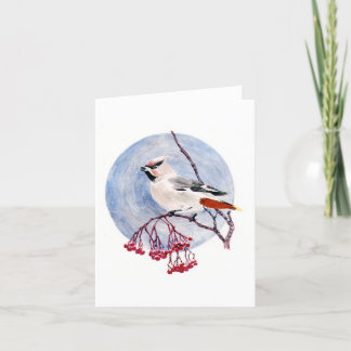 Winter Bird Holiday Card